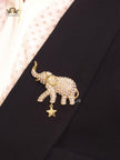 Alphabet CD cz brooch