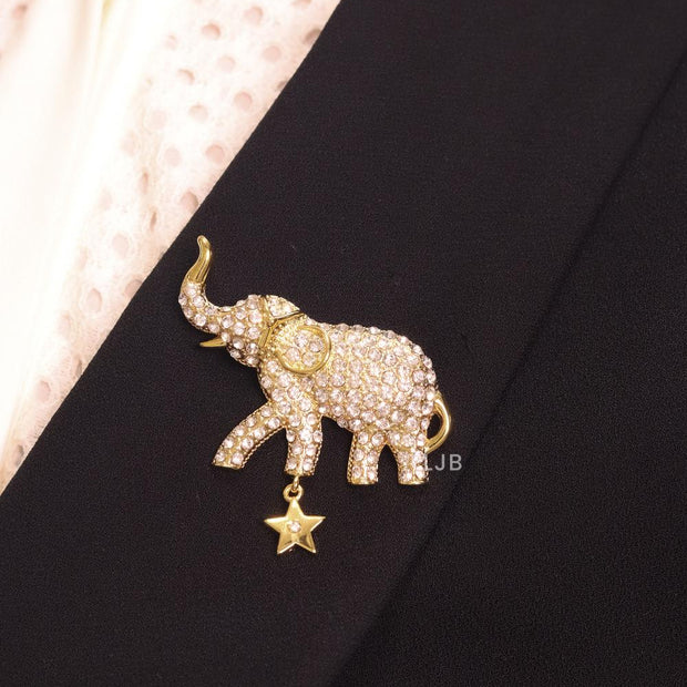 Alphabet CD cz brooch